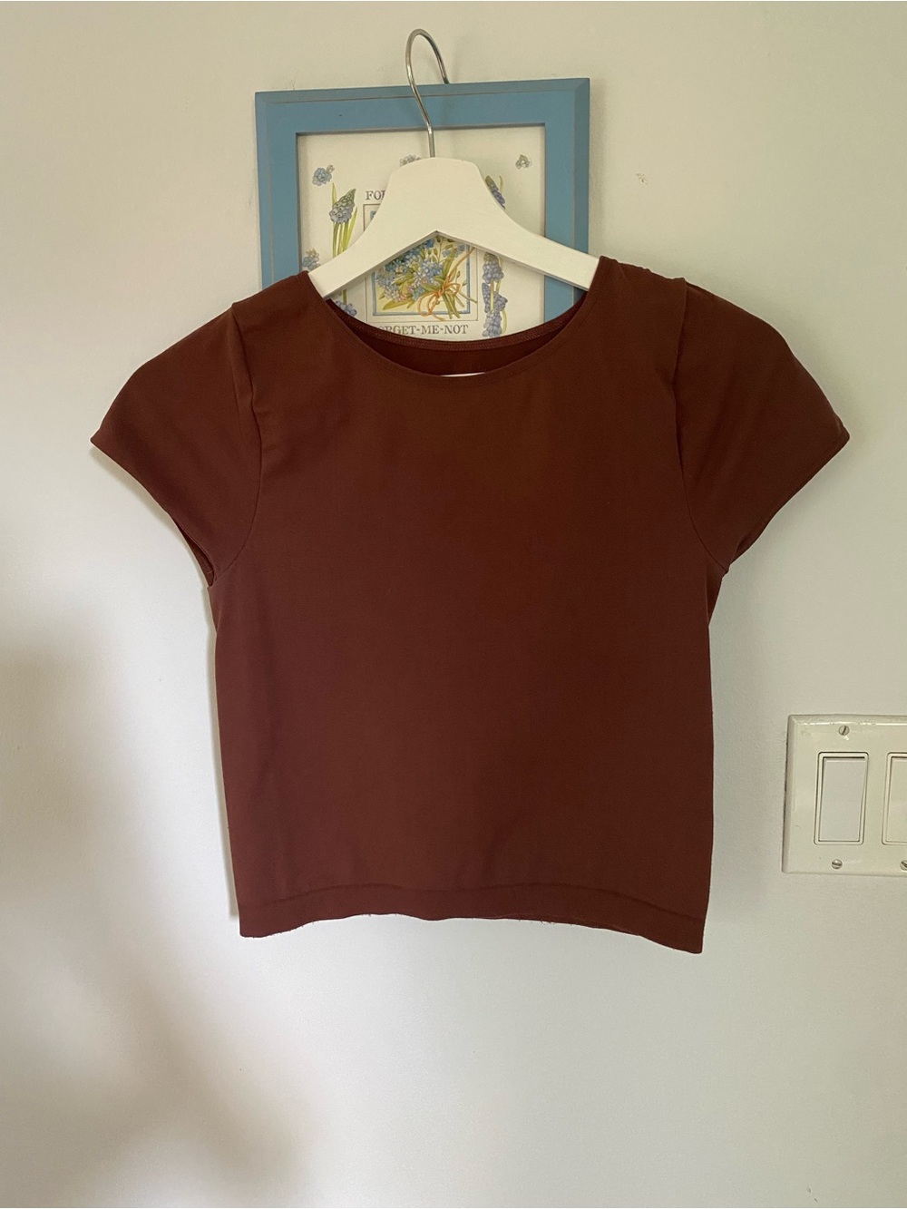 Free People Short Sleeve Crop Top in Deep Brown